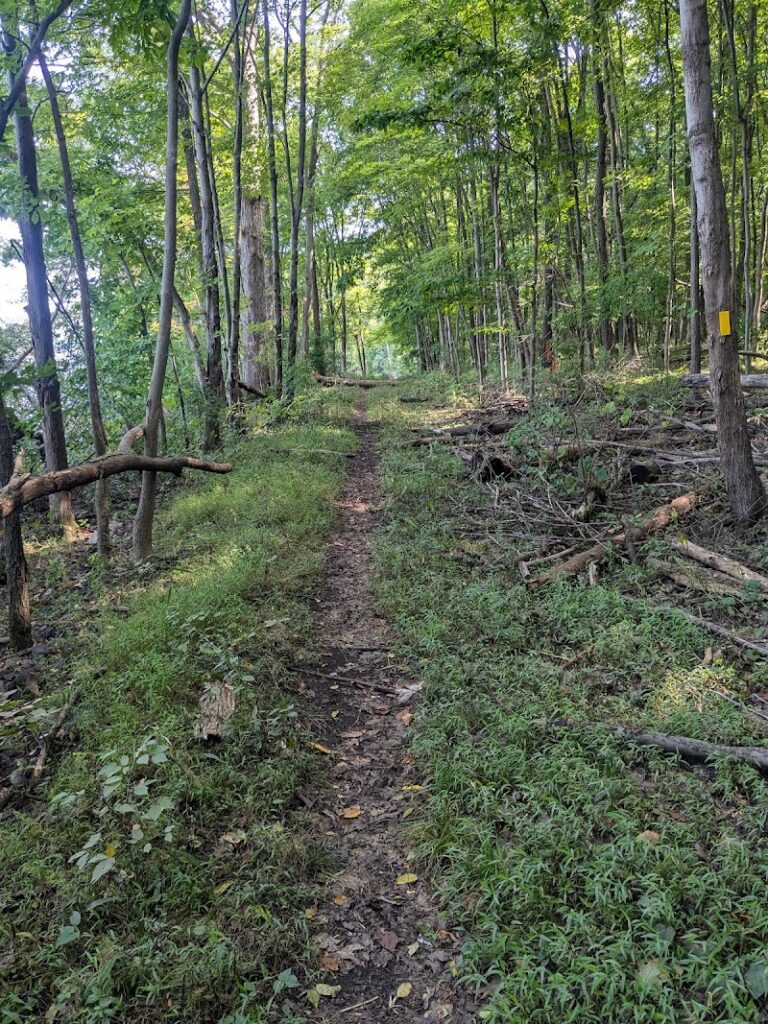Lakeside Trail