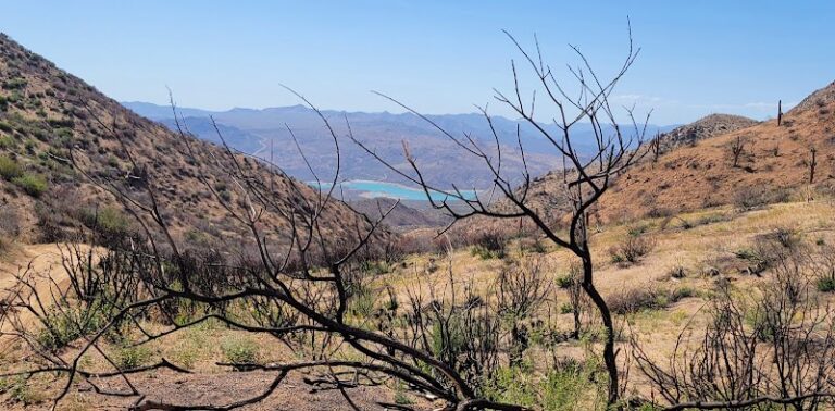 Log Corral Canyon OHV Staging Area