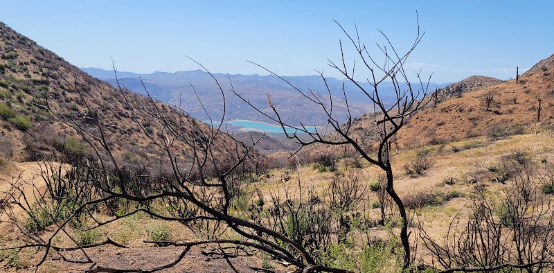 Log Corral Canyon OHV Staging Area
