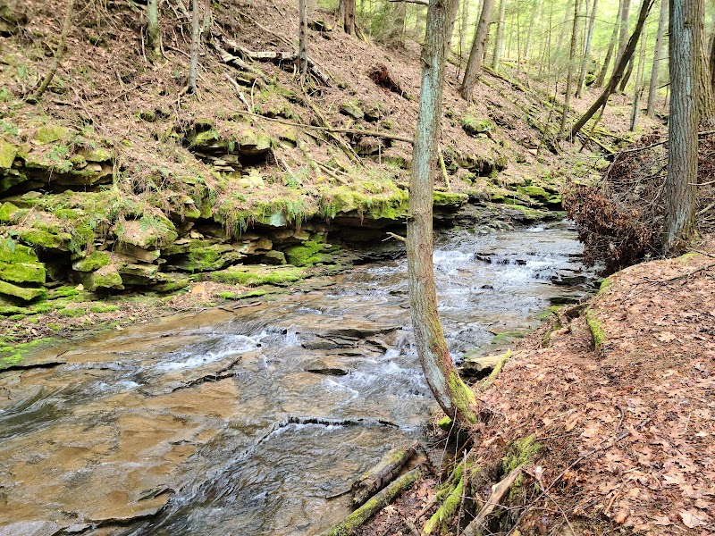 North Country Trail Trailhead
