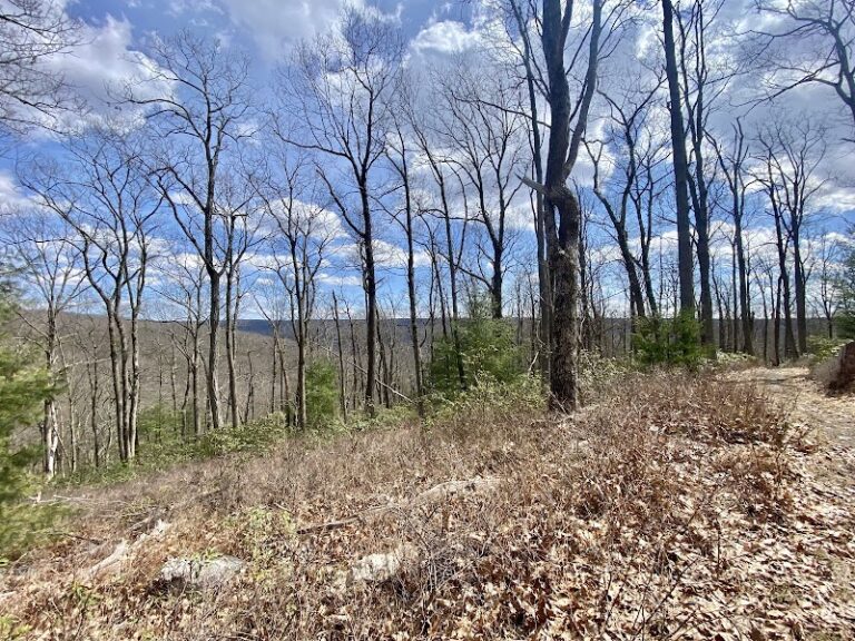 Sand Mountain Trailhead