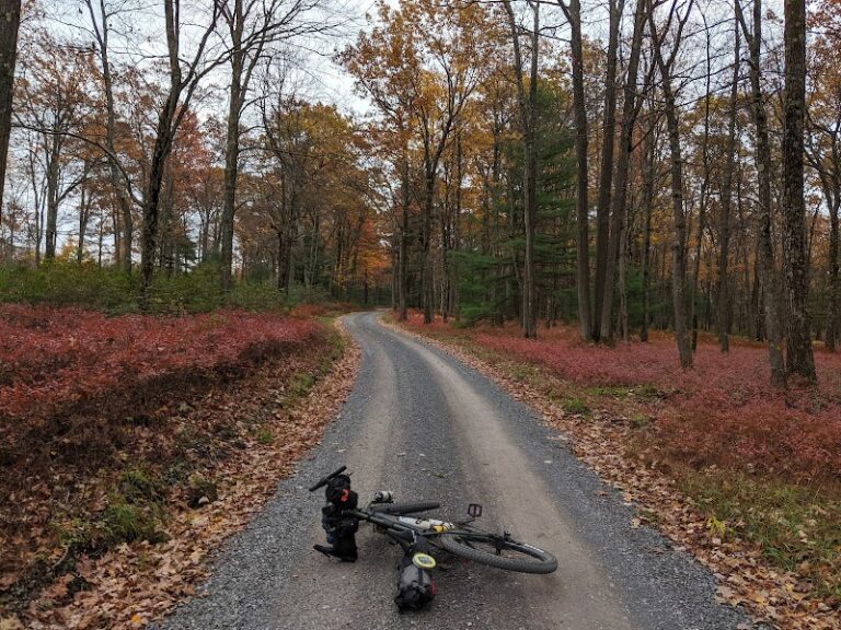 Sproul State Forest