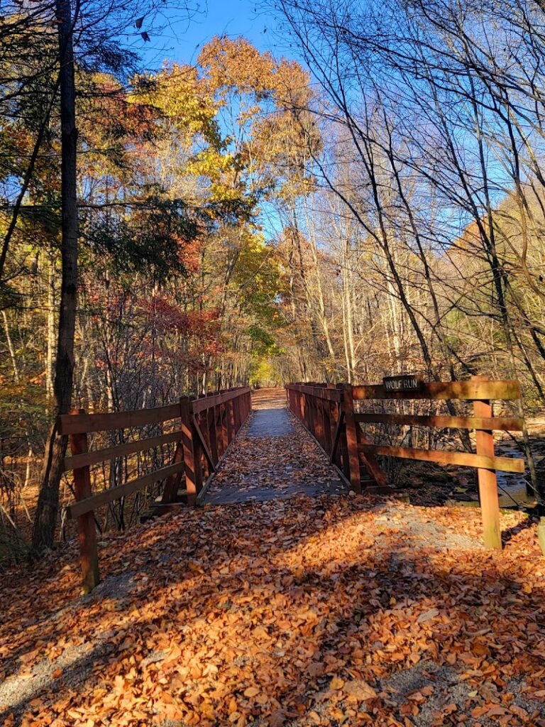 Wolf Run Trail