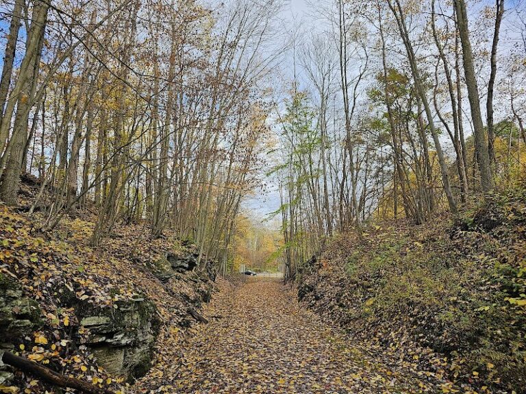 Wolf Run Trailhead