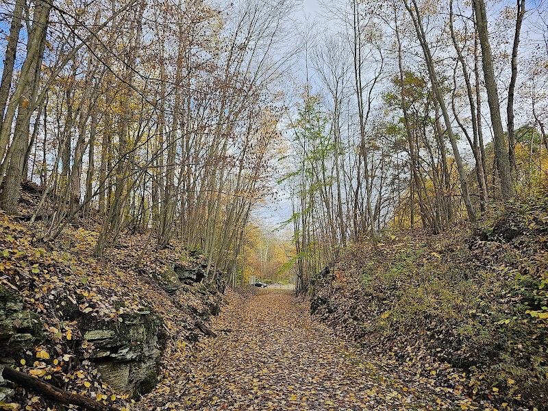 Wolf Run Trailhead